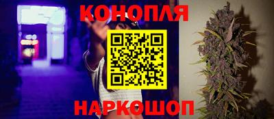 эйфоретик Малгобек