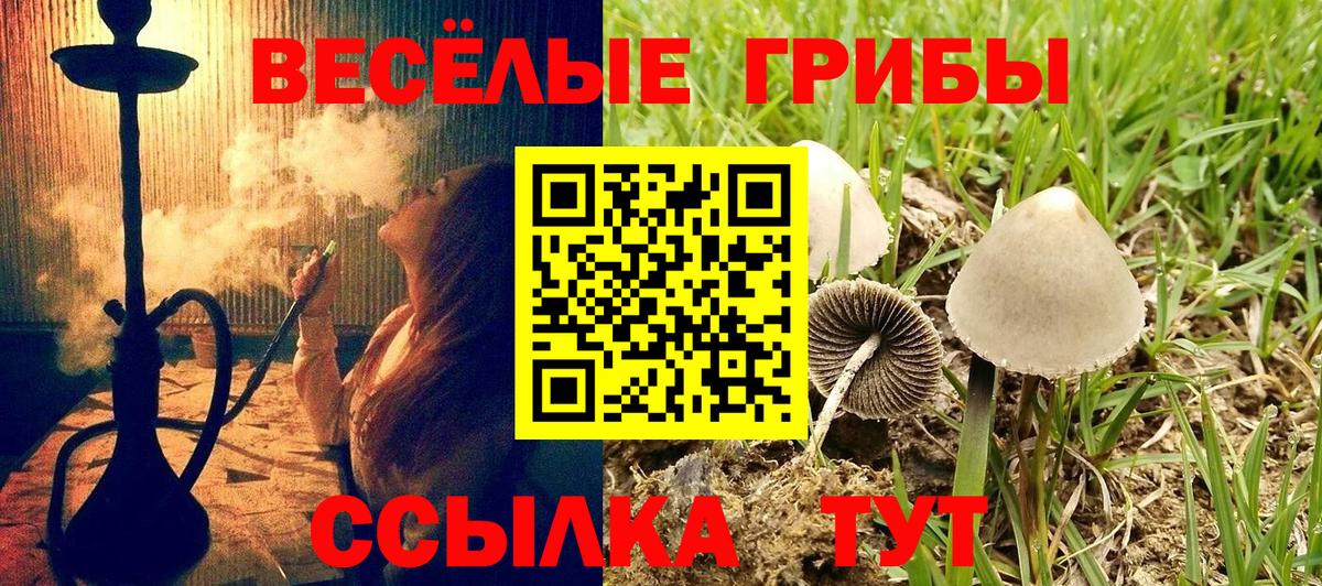 Псилоцибиновые грибы мухоморы Тобольск