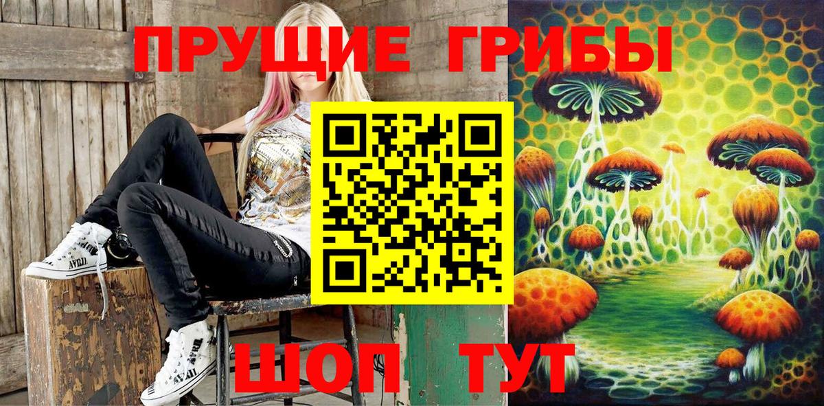 Псилоцибиновые грибы мицелий  Вход с VPN  Тобольск 